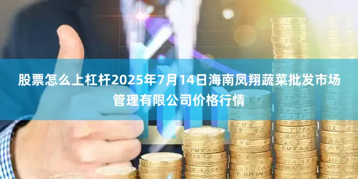 股票怎么上杠杆2025年7月14日海南凤翔蔬菜批发市场管理有限公司价格行情