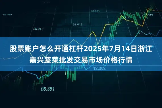 股票账户怎么开通杠杆2025年7月14日浙江嘉兴蔬菜批发交易市场价格行情