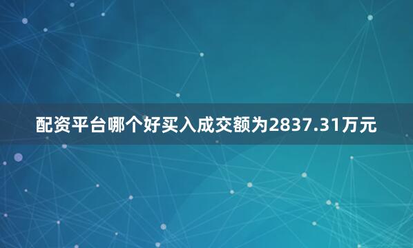 配资平台哪个好买入成交额为2837.31万元