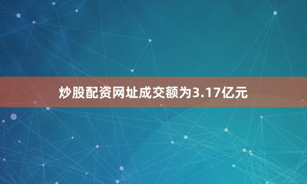 炒股配资网址成交额为3.17亿元