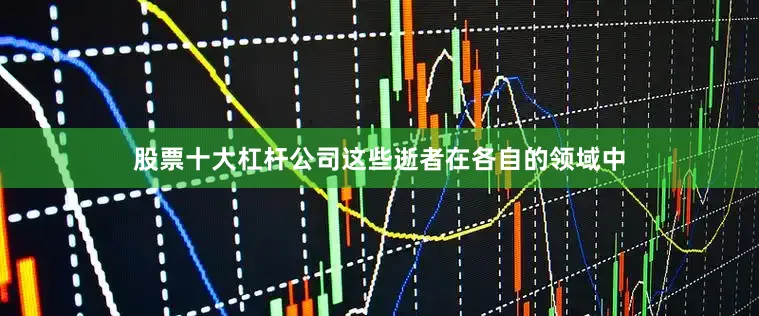 股票十大杠杆公司这些逝者在各自的领域中