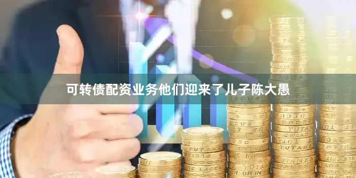 可转债配资业务他们迎来了儿子陈大愚